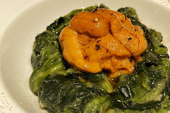 しょうのうにホーレン